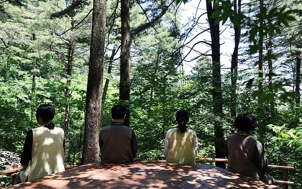 해피투게더(숲활동)